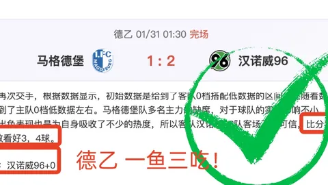 乌克超8胜6解析，期号专家推荐质合分析前区十码