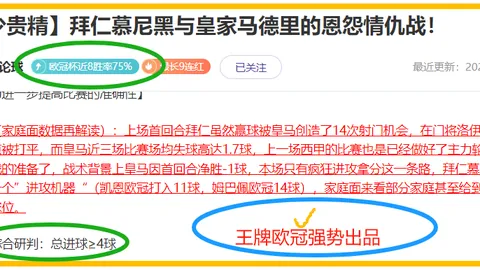 芬兰甲焦点对决：海鸥主场对阵卡塔亚